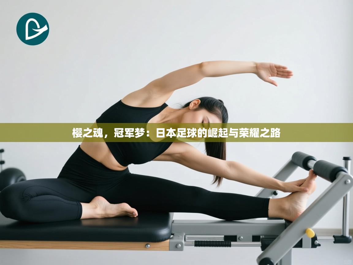 樱之魂，冠军梦：日本足球的崛起与荣耀之路  第2张