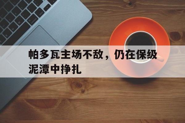 帕多瓦主场不敌，仍在保级泥潭中挣扎的简单介绍